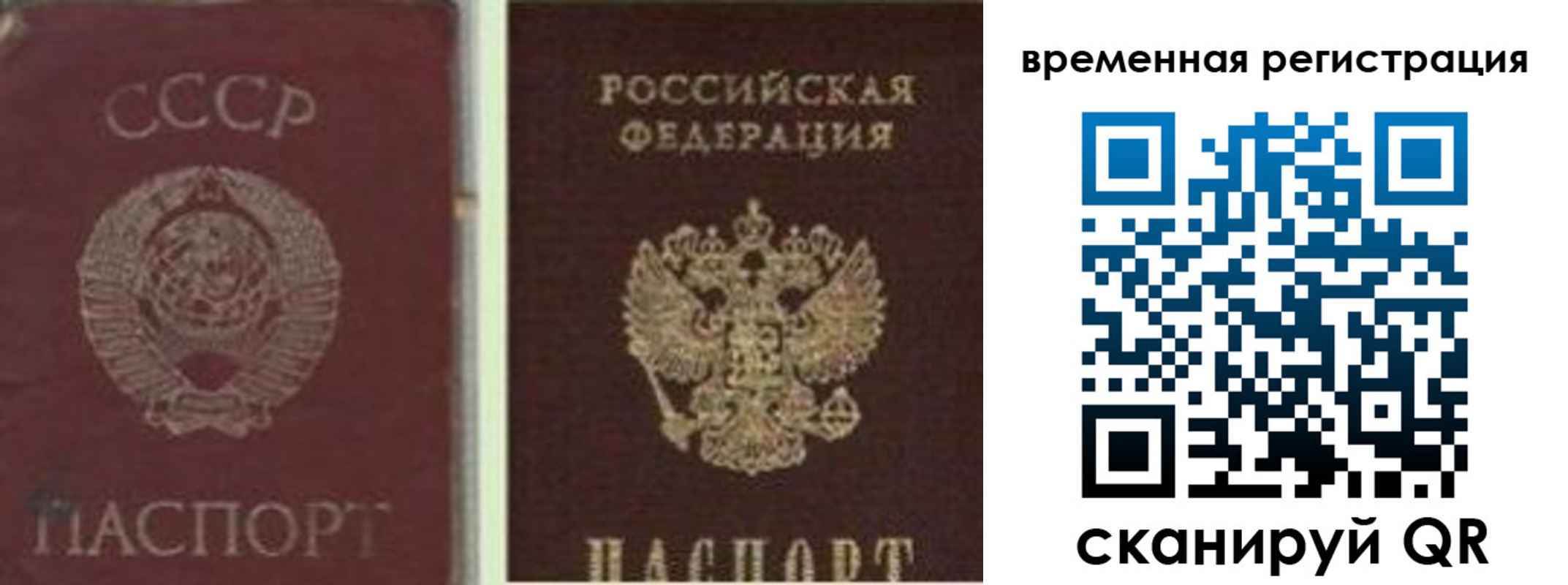 найти адрес прописки в Коркино
